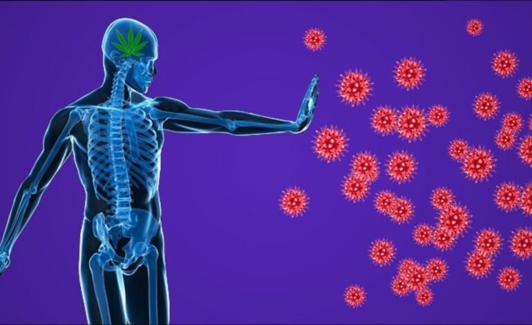 How to Improve Autoimmune System Naturally