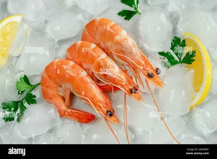 Carabinero Prawn The Exotic Seafood for Fine Dining
